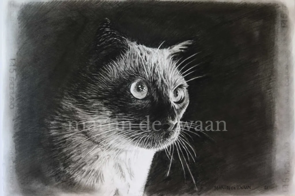 Charcoal art of cat