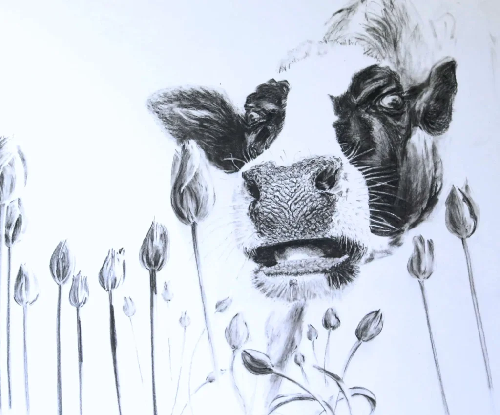 Cow in the tulips.. Study of a cow, in granite on paper.