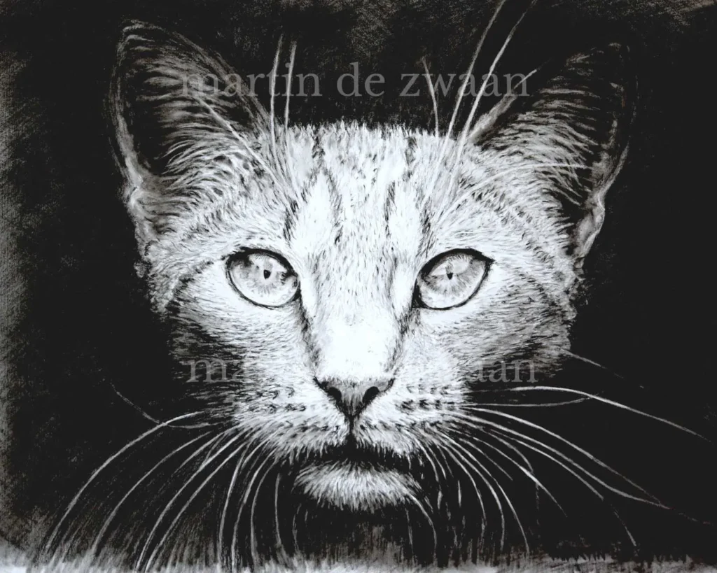 Charcoal art of cat