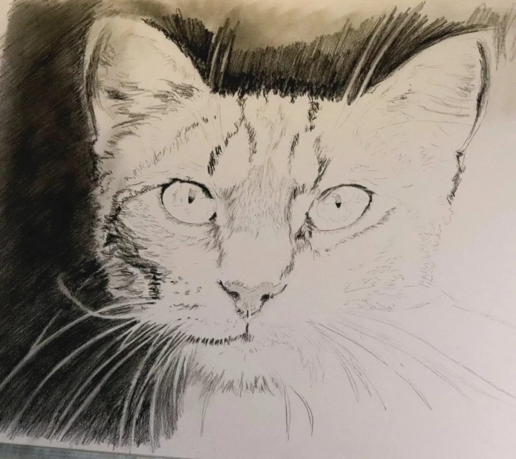 Charcoal art detail of cat